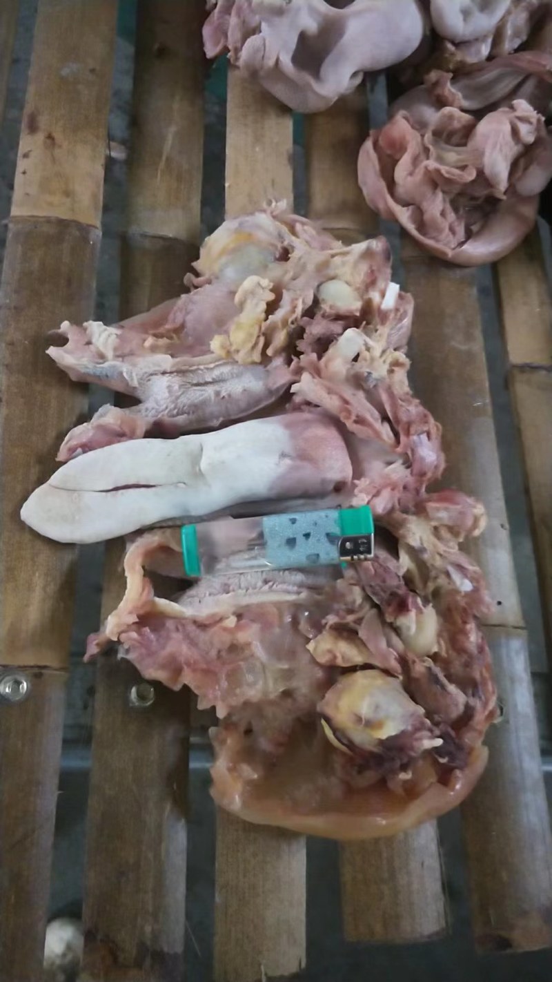 乳牛头肉，去骨熟牛头肉，纯手工去毛。