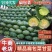 【实力】京丰一号甘蓝产地直发品质保证对接各类客户