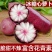冰淇淋萝卜大量上市中，爽口多汁，脆甜不辣欢迎订购