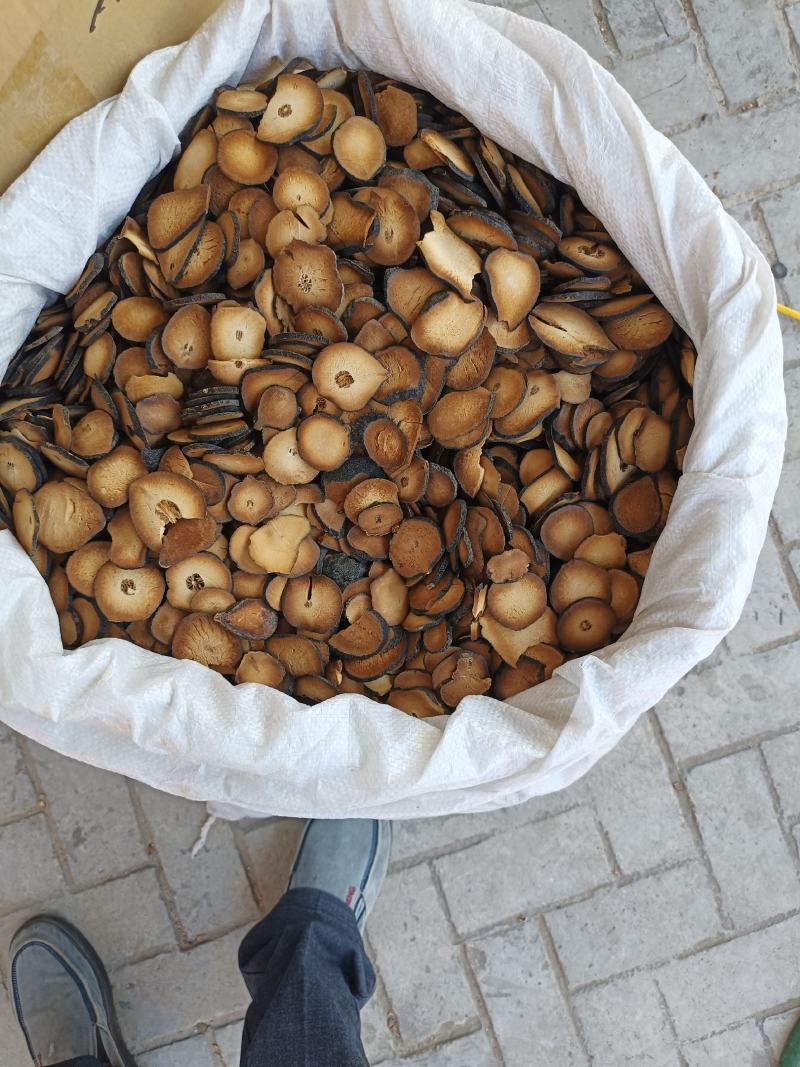 化州橘红广西橘红压果片橘红果金毛胎果化州橘红批发支持代发