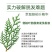 侧柏叶植物防脱发洗发水增发密发育发祛屑止痒控油蓬松除螨虫