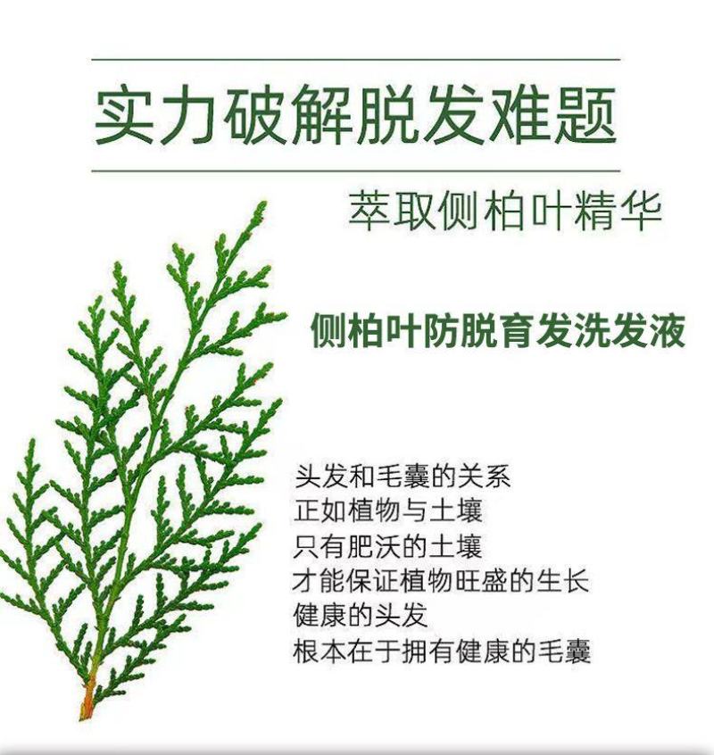 侧柏叶植物防脱发洗发水增发密发育发祛屑止痒控油蓬松除螨虫