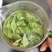 甜茶，刺儿茶