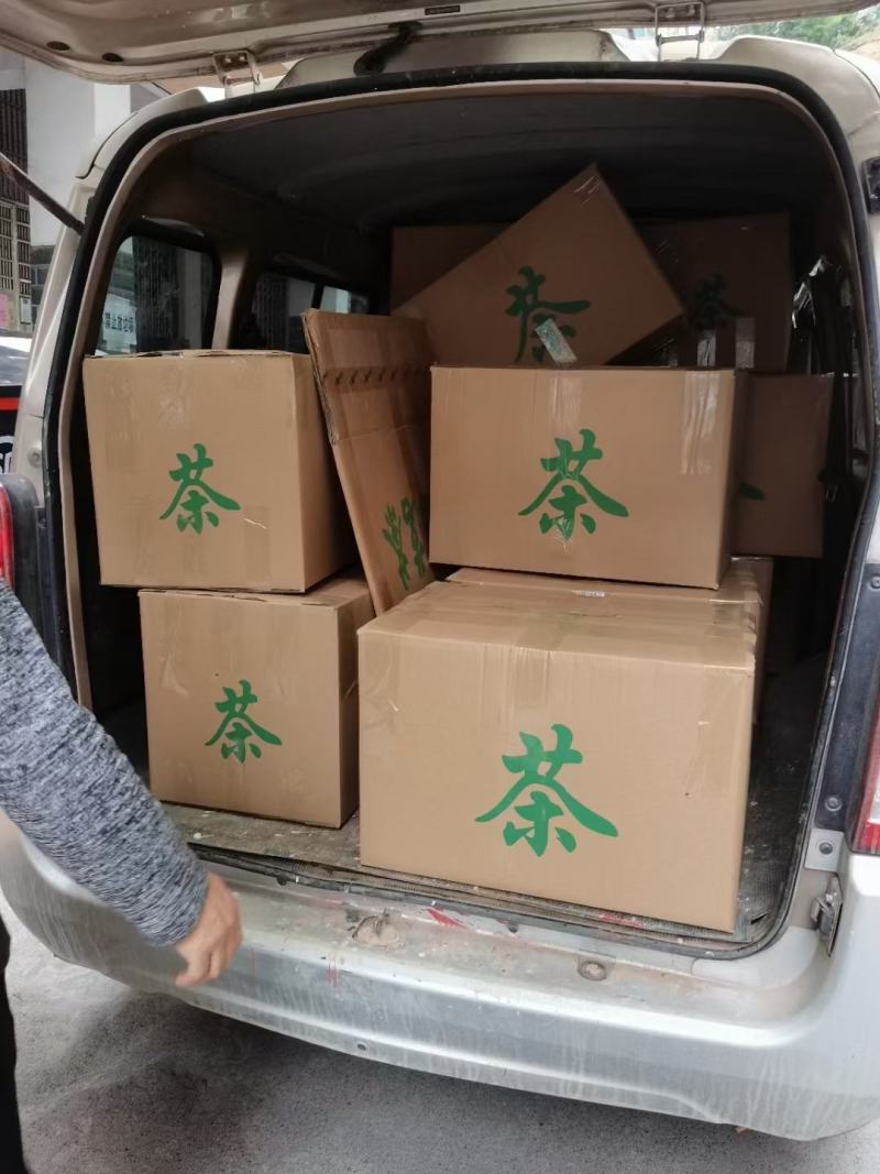 甜茶，刺儿茶