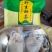 甜茶，刺儿茶