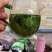甜茶，刺儿茶