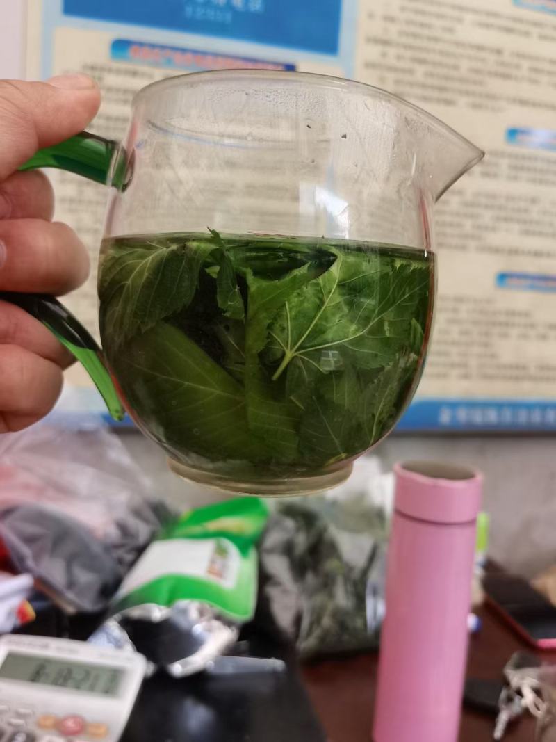 甜茶，刺儿茶