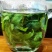 甜茶，刺儿茶