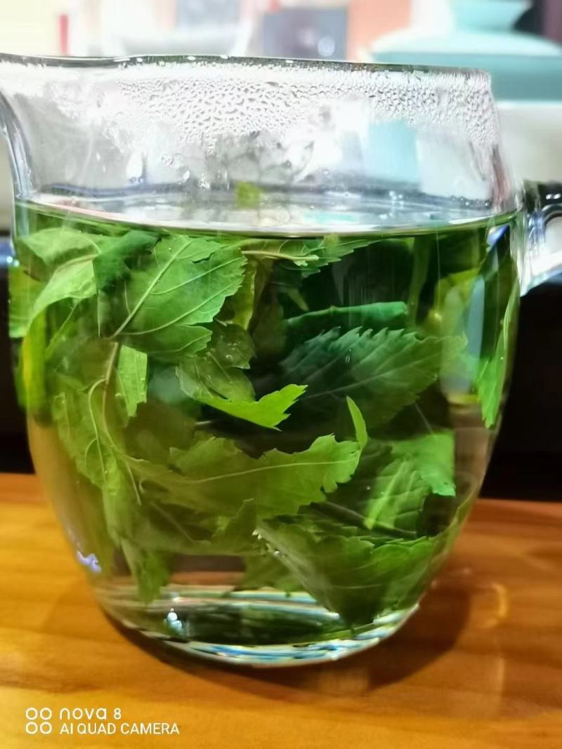 甜茶，刺儿茶