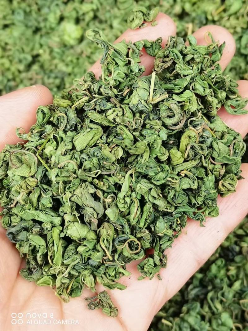甜茶，刺儿茶