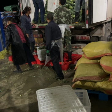 天门市西兰花大量上市，自家基地自产自销一手货源，