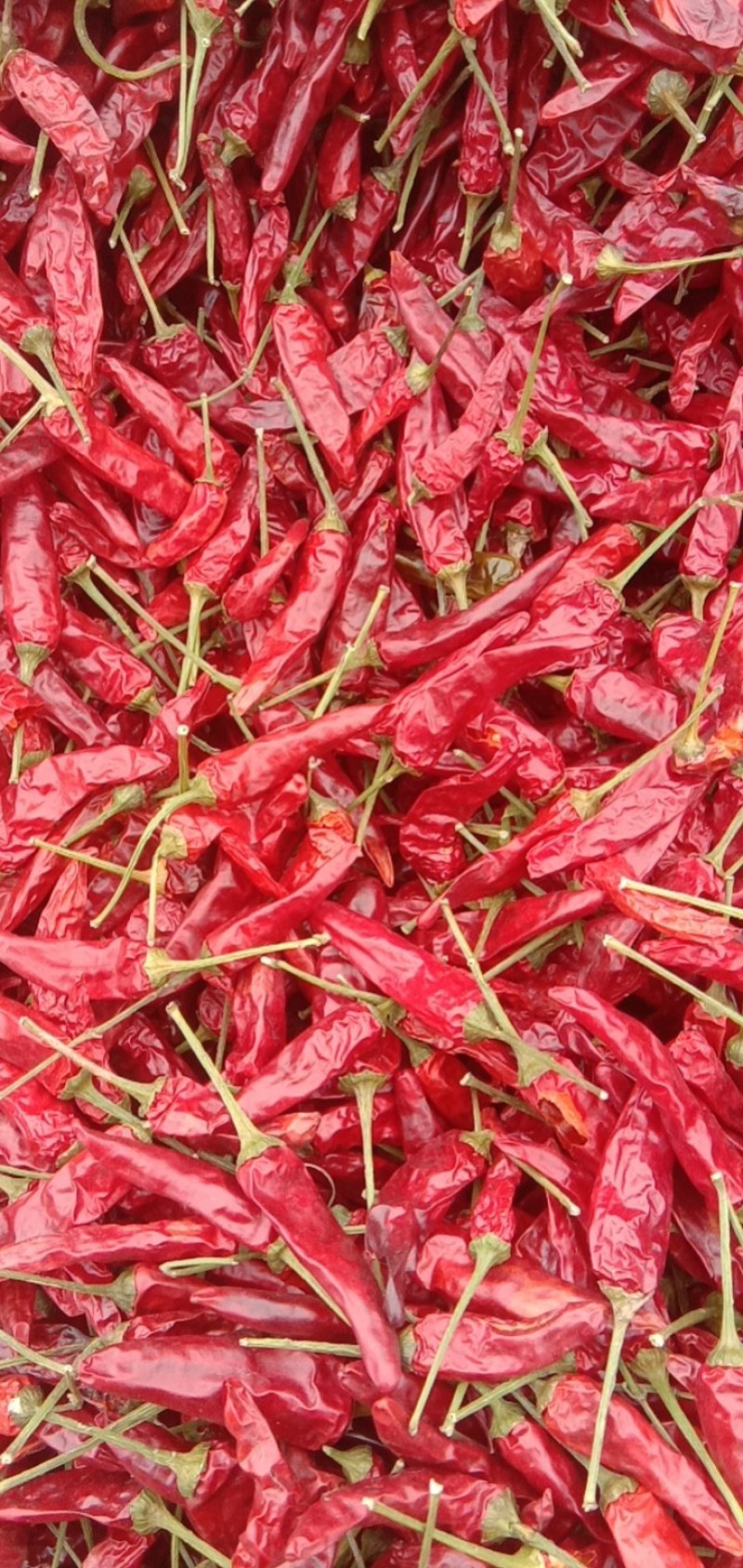 唐崖红，用于火锅，卤菜