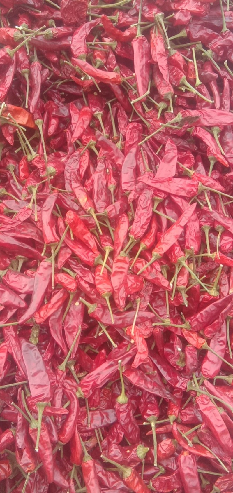 唐崖红，用于火锅，卤菜