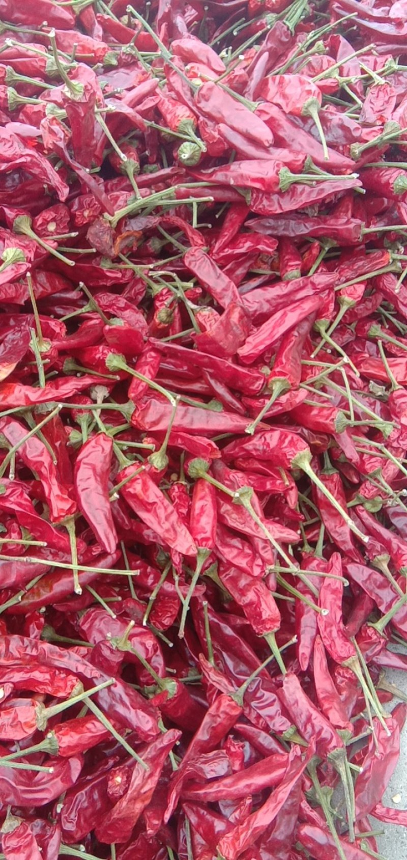 唐崖红，用于火锅，卤菜