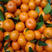 广西砂糖橘，皮薄甘甜果面干净，对接各大电商平台和市场