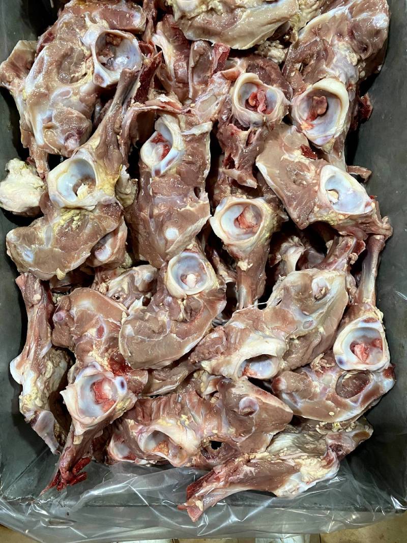 精品血清犊牛，乳牛胯骨，带肉率高价格便宜。