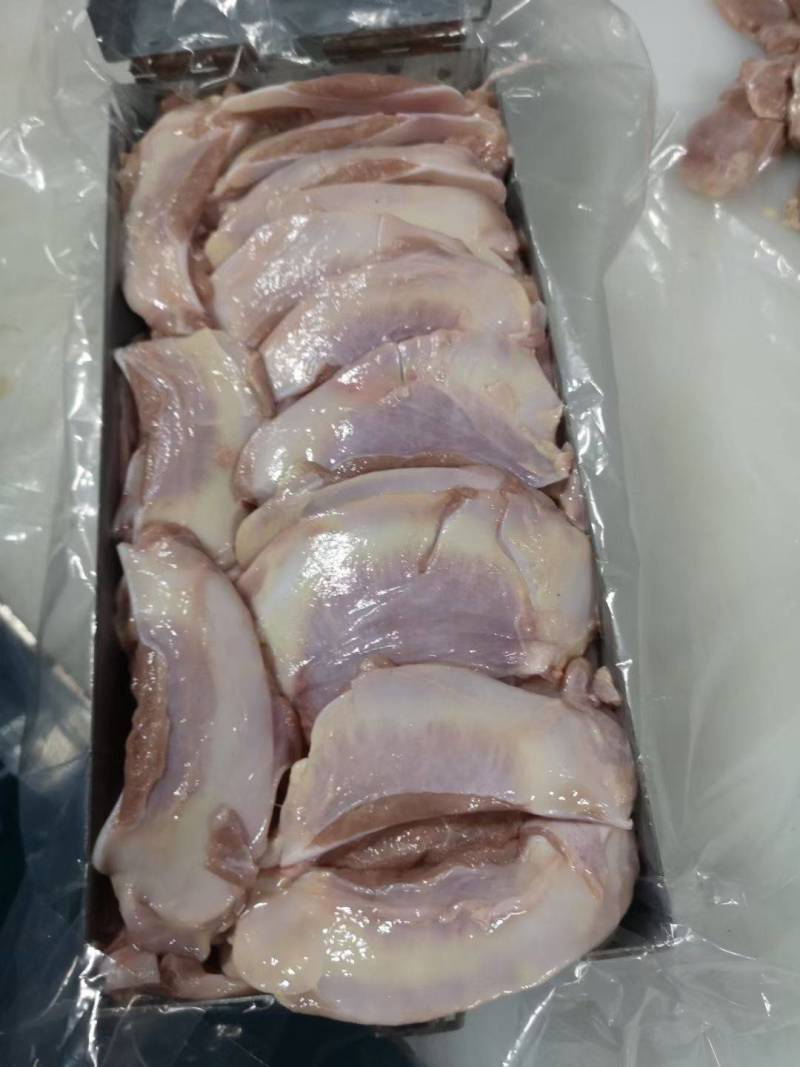 犊牛乳牛月牙骨，精品！！！