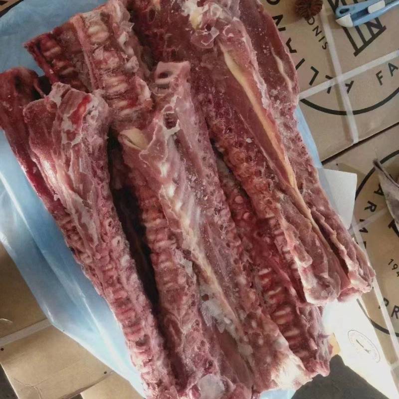 新西兰犊牛脊骨，乳牛脊骨
