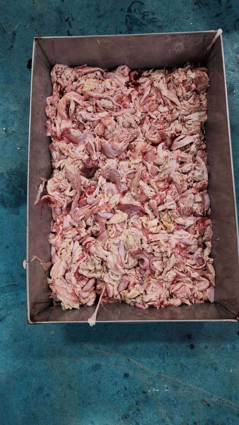 乳牛，犊牛碎肉。边角料。狗粮狗食用。
