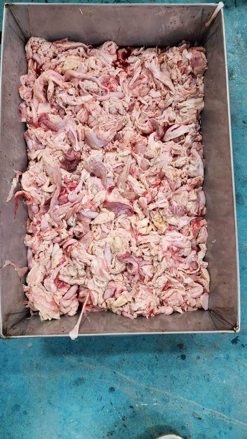 乳牛，犊牛碎肉。边角料。狗粮狗食用。