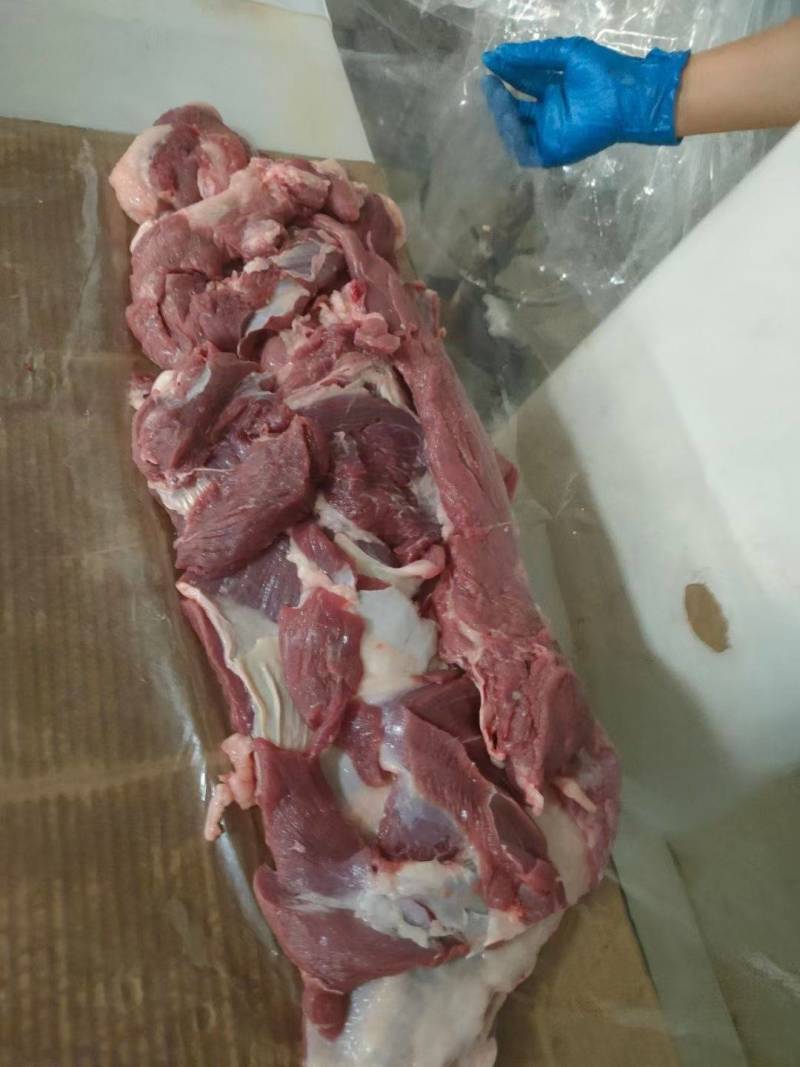 精品羔羊白条，羊腔子。定点屠宰场每天屠宰！