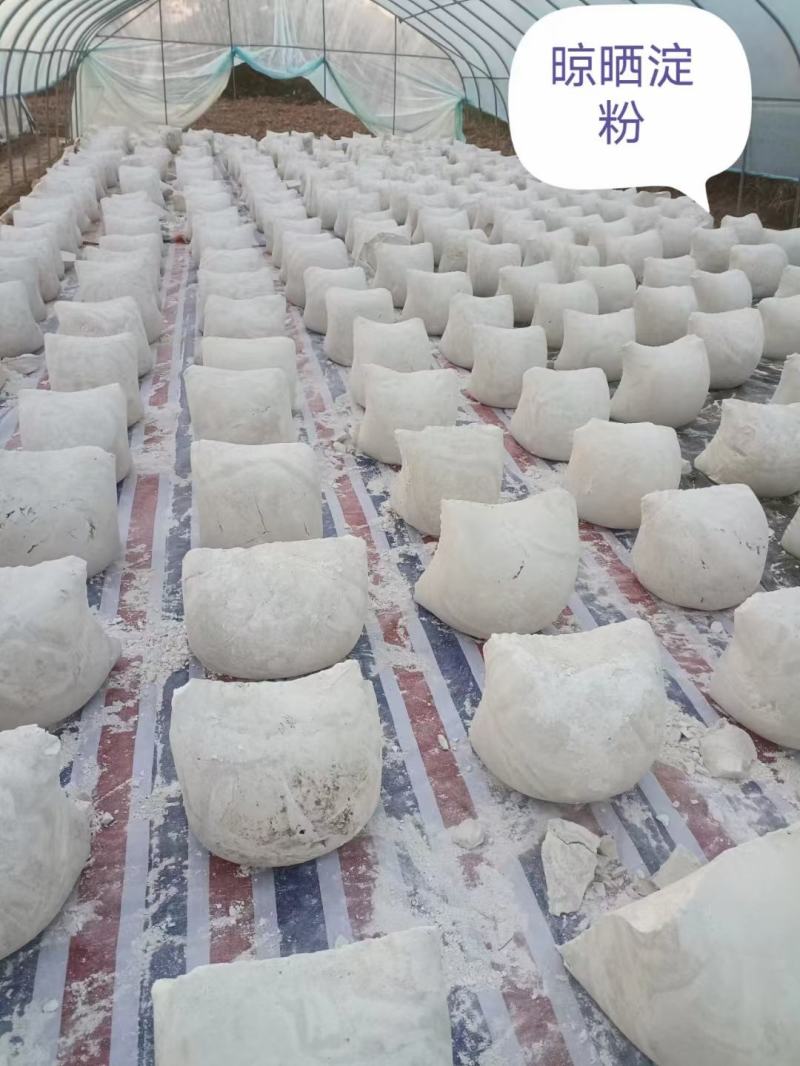 合阳纯手工红薯粉条袋装，礼盒装；零售，批发。