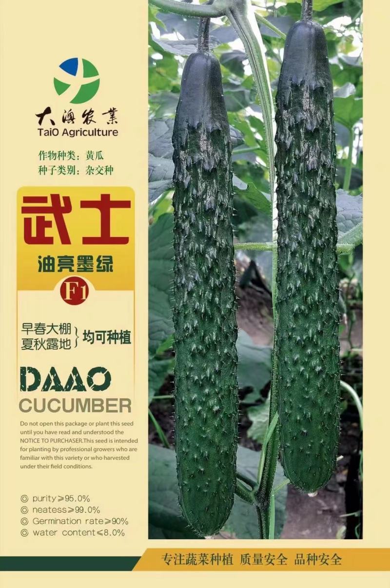 密刺黄瓜种子武士墨绿油亮适应性广早春大棚夏秋露地