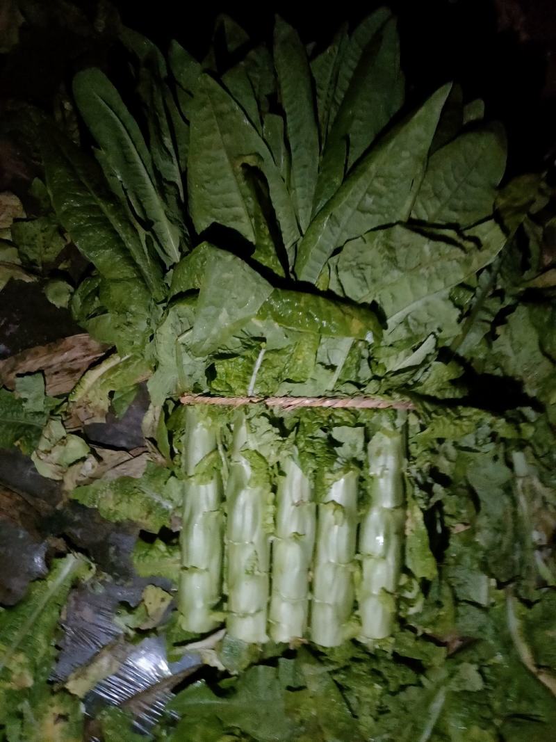精品三青莴笋，基地直供，以质论价。。。。。