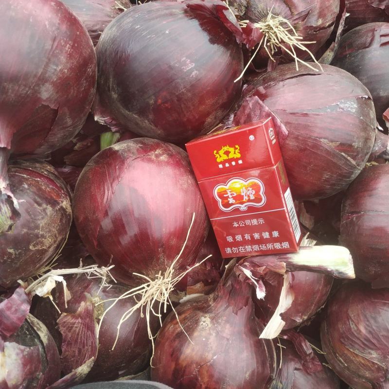 大量紫皮洋葱