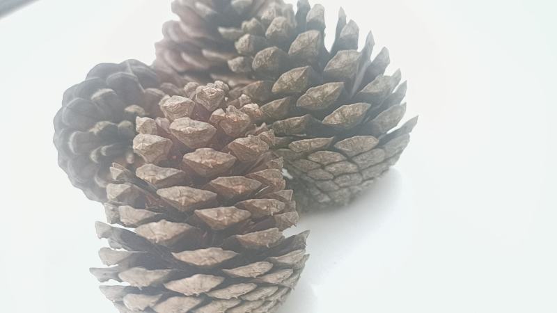 装饰品摆件地方特色天然观赏件