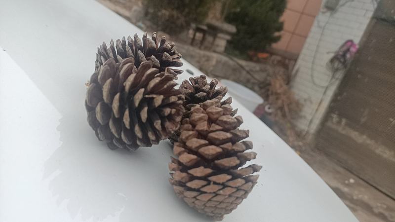 装饰品摆件地方特色天然观赏件