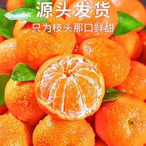 （好货）柑桔产地砂糖橘口感好，保质保量欢迎来电采购