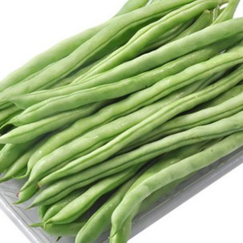 露天四季豆无筋豆承接线上线下市场批发商超配送一件代发