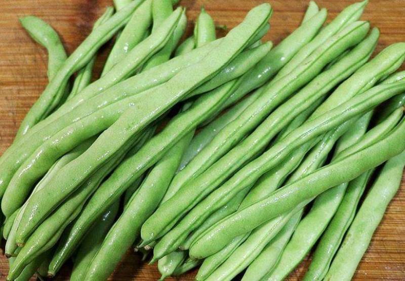 露天四季豆无筋豆承接线上线下市场批发商超配送一件代发