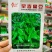 帮达早春绿眉豆种子小包装家庭园艺爬藤蔬菜种子菜豆种子