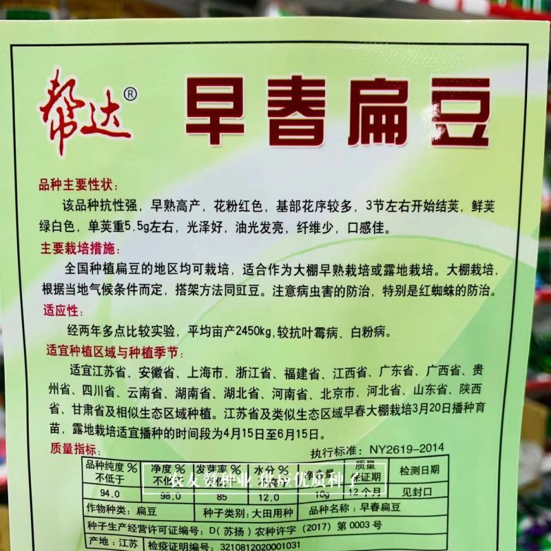 帮达早春绿眉豆种子小包装家庭园艺爬藤蔬菜种子菜豆种子