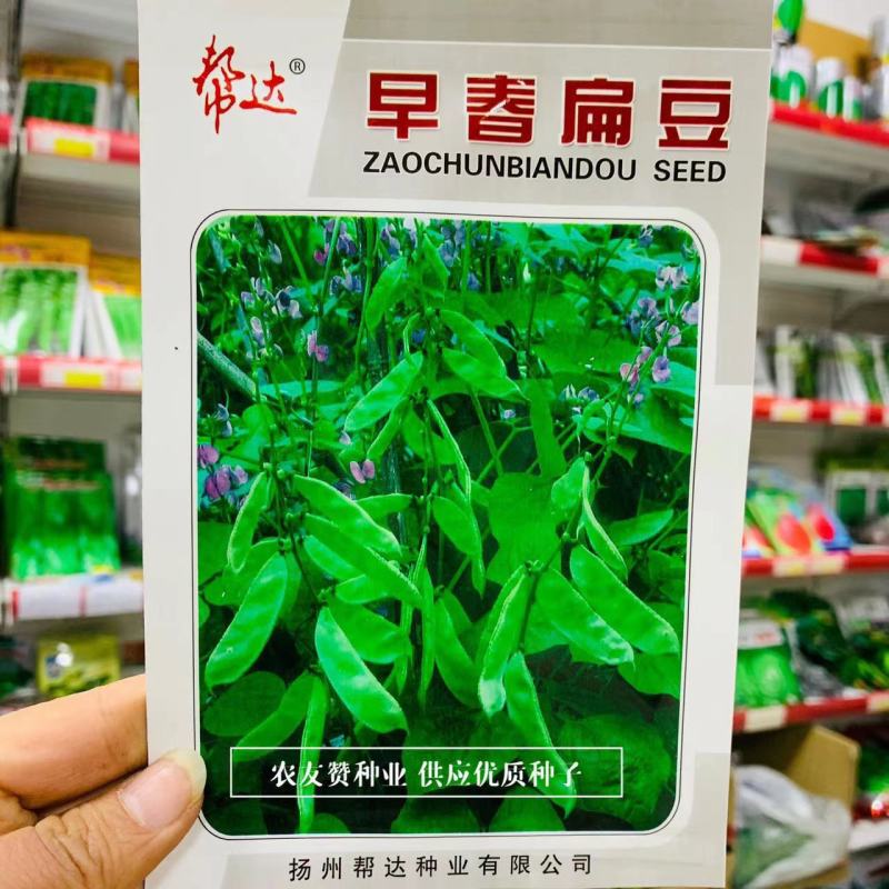 帮达早春绿眉豆种子小包装家庭园艺爬藤蔬菜种子菜豆种子