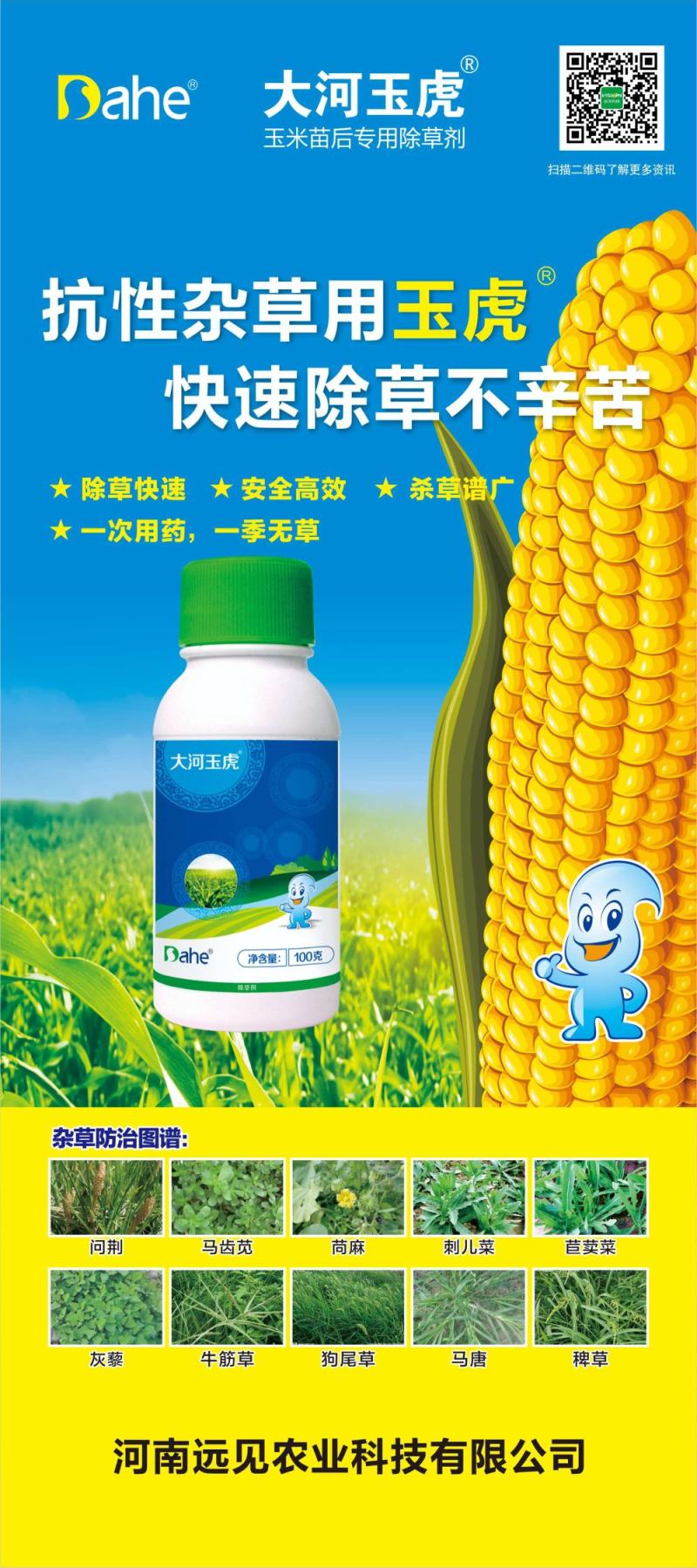 大河玉虎24%硝磺草酮烟嘧磺隆莠去津玉米除草剂苗后农