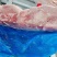 母猪四号肉，色泽新鲜度高，性价比很高欢迎新老客户咨询下单