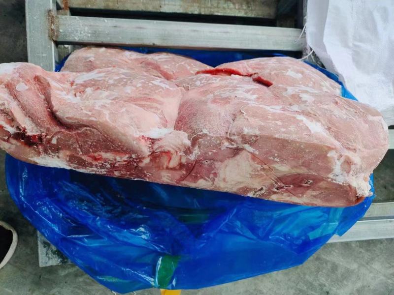 母猪四号肉，色泽新鲜度高，性价比很高欢迎新老客户咨询下单