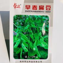 早熟绿眉豆种子菜豆种子绿扁豆茶豆种子眉豆种籽小菜园蔬菜