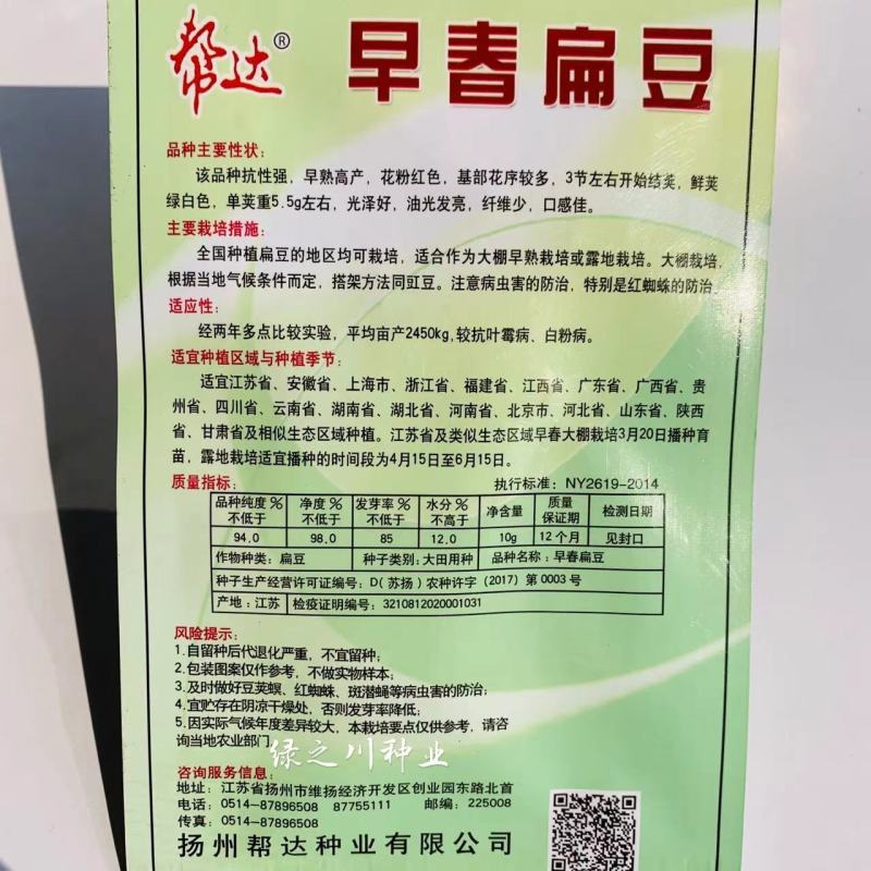 早熟绿眉豆种子菜豆种子绿扁豆茶豆种子眉豆种籽小菜园蔬菜