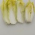 高山娃娃菜，毛菜净菜规格齐全，对接市场、商超，产地直发