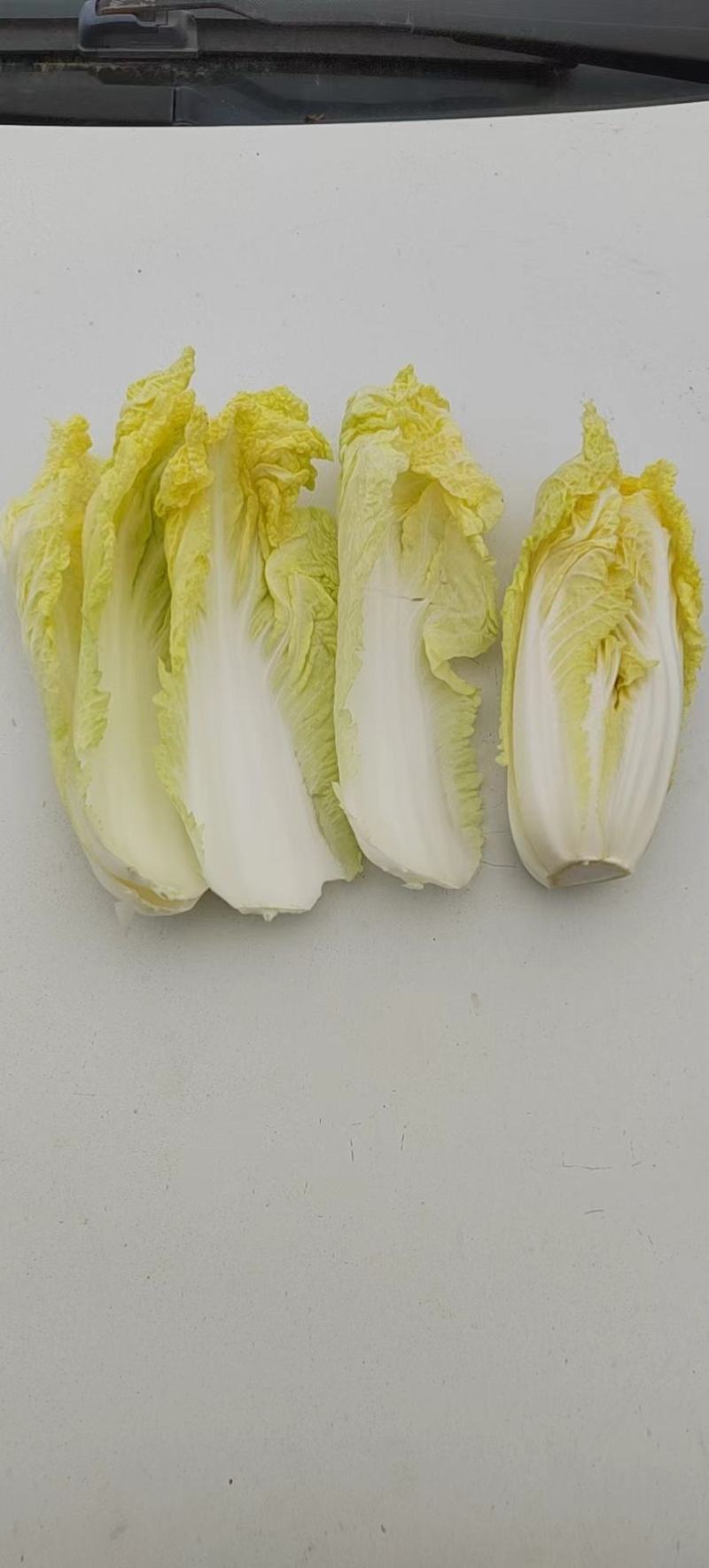 高山娃娃菜，毛菜净菜规格齐全，对接市场、商超，产地直发