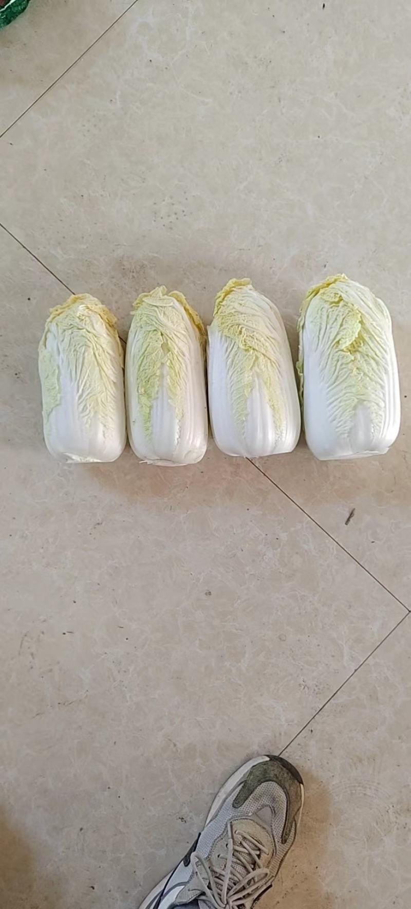 高山娃娃菜，毛菜净菜规格齐全，对接市场、商超，产地直发