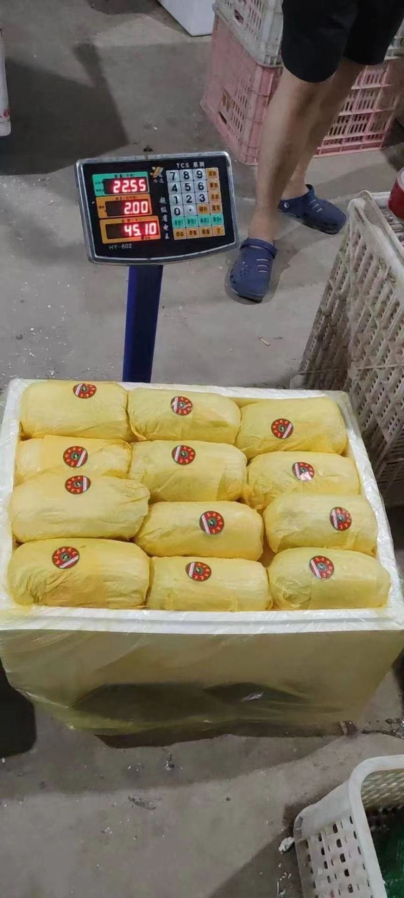 高山娃娃菜，毛菜净菜规格齐全，对接市场、商超，产地直发