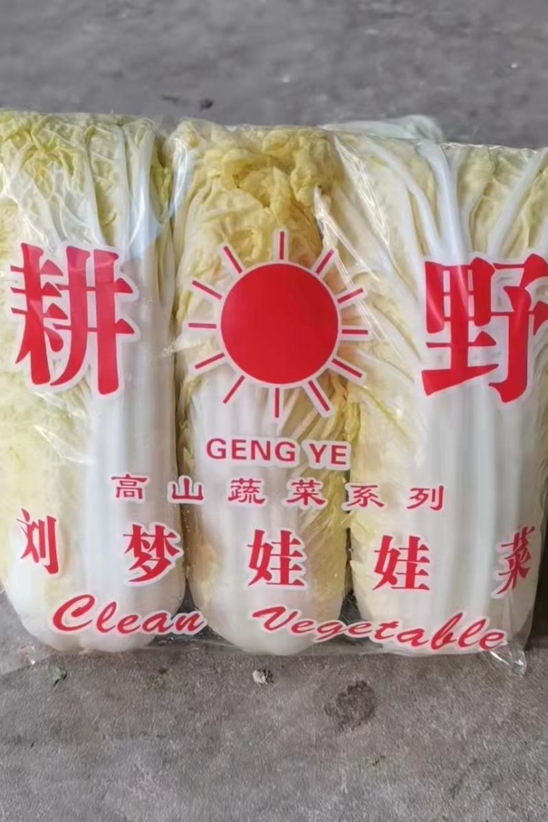 高山娃娃菜，毛菜净菜规格齐全，对接市场、商超，产地直发
