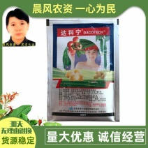 日本达科宁40%百菌清早疫病叶斑病霜霉病蔬菜葡萄辣椒番