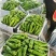夏邑县鲜辣椒-泡椒大量上市价格优惠欢迎来电采购