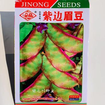 紫边眉豆种子结荚多品质好纤维少，抗病菜豆种子高产